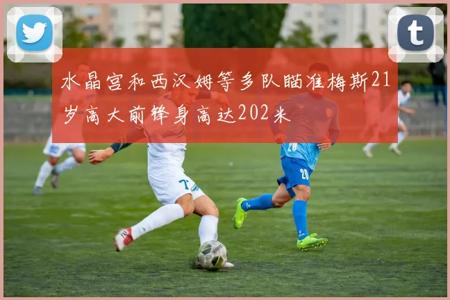 水晶宫和西汉姆等多队瞄准梅斯21岁高大前锋身高达202米